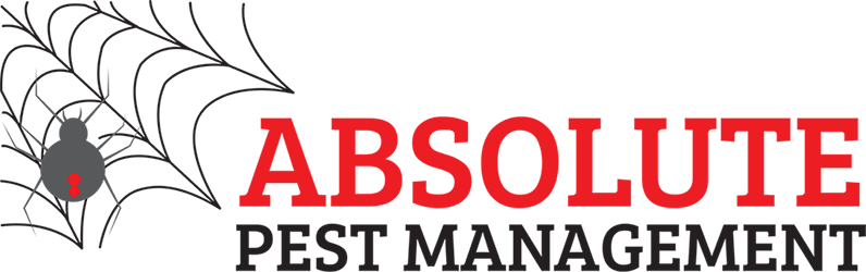 Absolute Pest Control